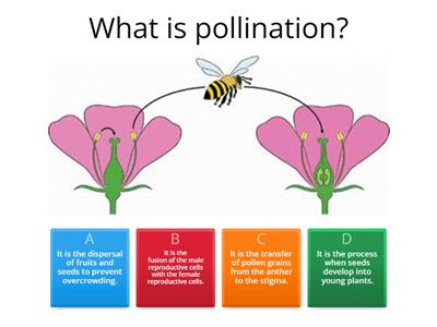 Reproduction in Plants and Humans