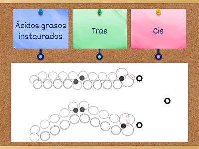 Las estructuras cis y trans