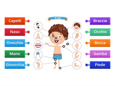 Schema corporeo