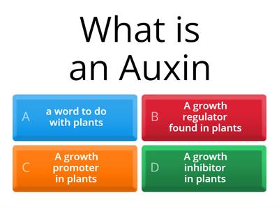 Plant Responses...Auxins