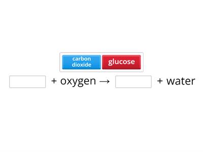 Respiration equation