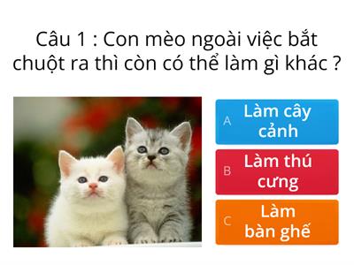 Bài 14. Sử dụng hợp lí thực vật và động vật. Sách Cánh diều lớp 3