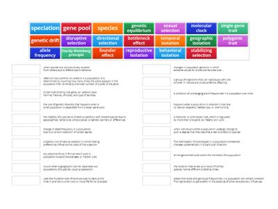 Epic Ed Bio-2 Topic 10 Population Evolution Vocabulary Match Up