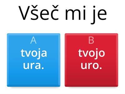 Slovenščina ekspres 5. enota 1. ali 4. sklon