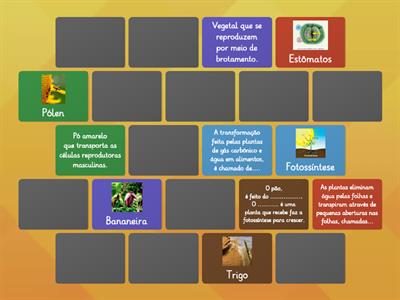 NUTRIÇÃO E REPRODUÇÃO DAS PLANTAS