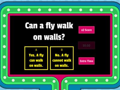 What can walk on walls?