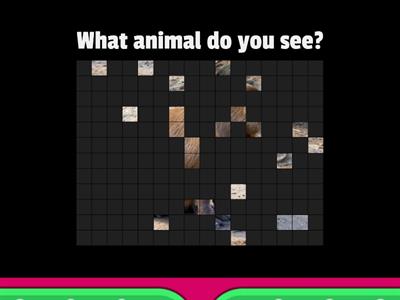 Animal Reveal Game
