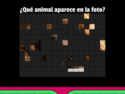 Los animales