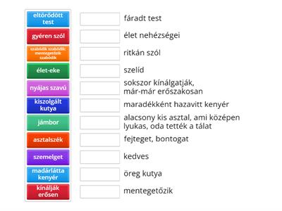 Családi kör - szavak jelentése