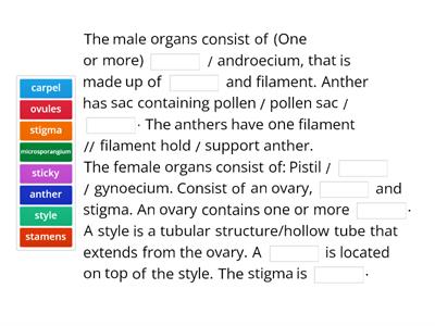 Describe the male and female reproductive organs in flowering plants