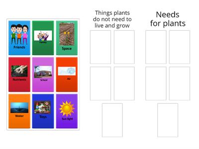 Needs of plants