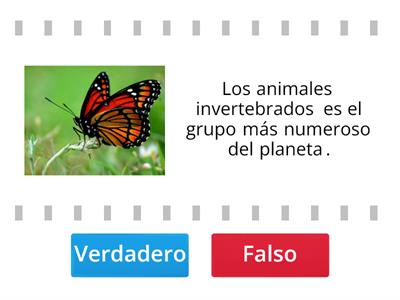 Animales invertebrados (ESO)