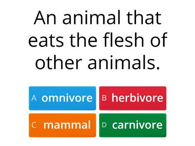 Animal quiz Year 1