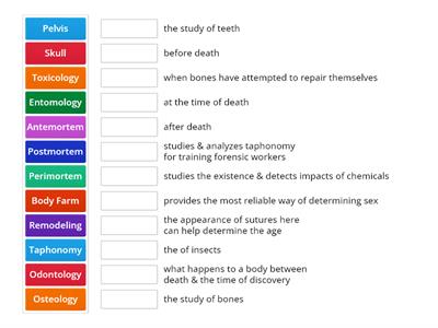 Forensics Matching Portion 