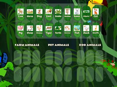 Classifying Animals