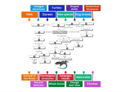 Evolution Concept Map