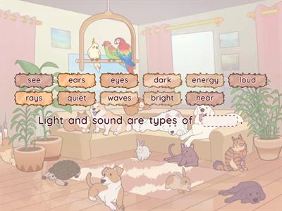 What are light and sound?_U6