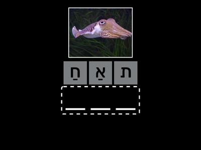 Animals and Hebrew Numbers 1-10