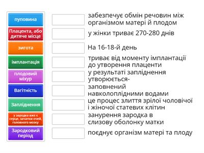 Вагітність. Ембріональний період розвитку людини.