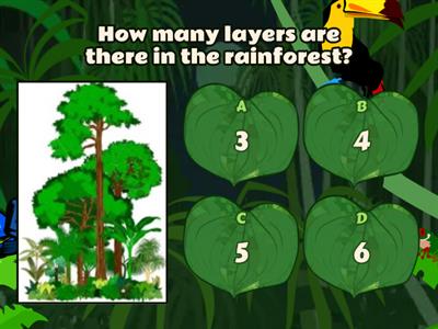 Amazon Rainforest Quick Quiz