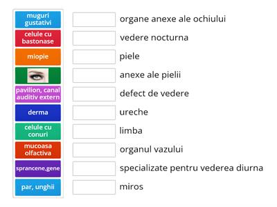 ORGANE DE SIMT