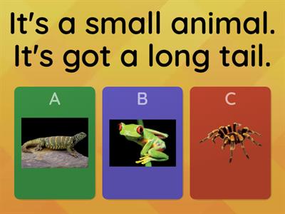 Animals quiz / Islands 2
