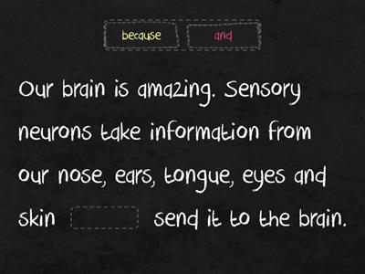 Brain and sensory neurons