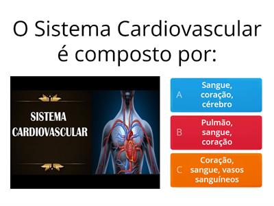 Sistema Cardiovascular