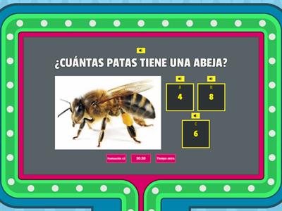  ¿CUÁNTO SABES DE LAS ABEJAS?