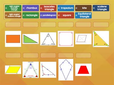 Triangles and Quadrilaterals