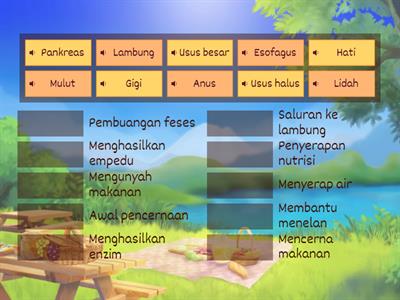 Lembar Kerja Peserta Didik Sistem Pencernaan Manusia