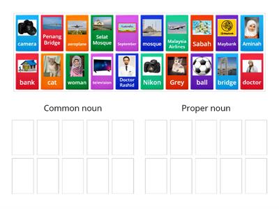 Common Noun & Proper Noun
