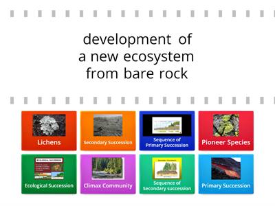 Ecological Succession