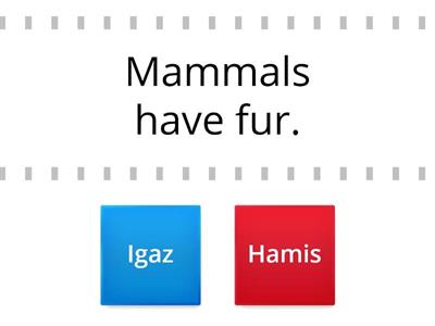 Animal facts