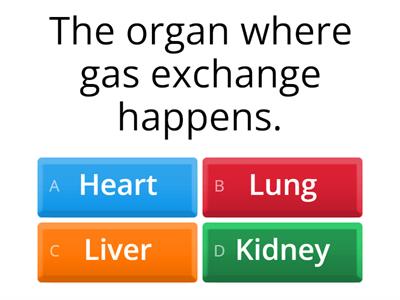 Gas exchange