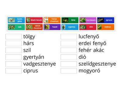 1_Tree species - matching