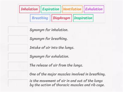 Mechanism of breathing