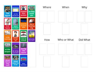 5 W's Sentence Parts Sort