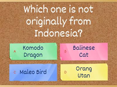 Indonesia Fun Facts
