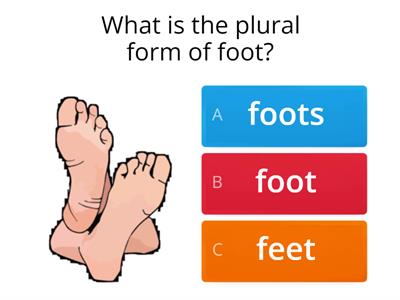 Irregular Plural Nouns