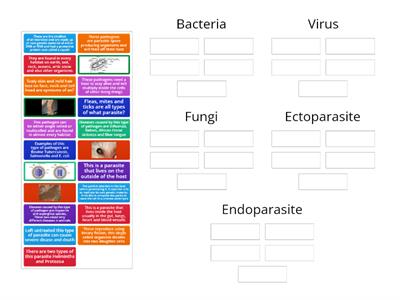 Types of pathogens 