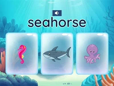 Sea creatures quiz