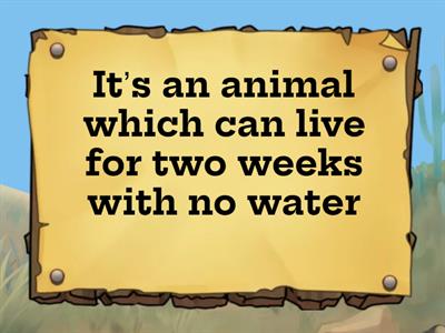 Animal Quiz