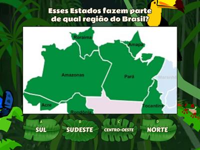 Geografia: conhecendo os Estados das Regiões do Brasil - Atividade do 4° ano do EF.