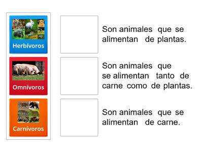 "Carnívoros, herbívoros u omnívoros"