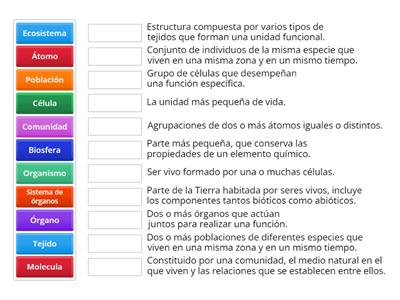 Niveles de organización de los Seres Vivos. 