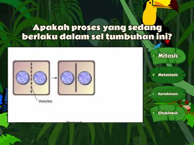 Bio Bab 6 - Mitosis dan sitokinesis