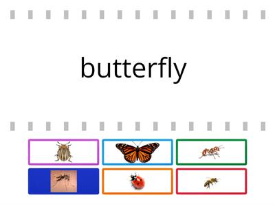 Game Chart - Insects 2