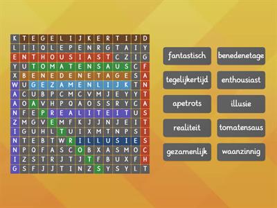 Woordzoeker (deel) uitstapdictee groep 8 Taal Actief