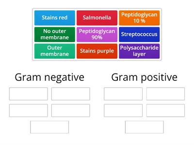 Gram positive and negative bacteria